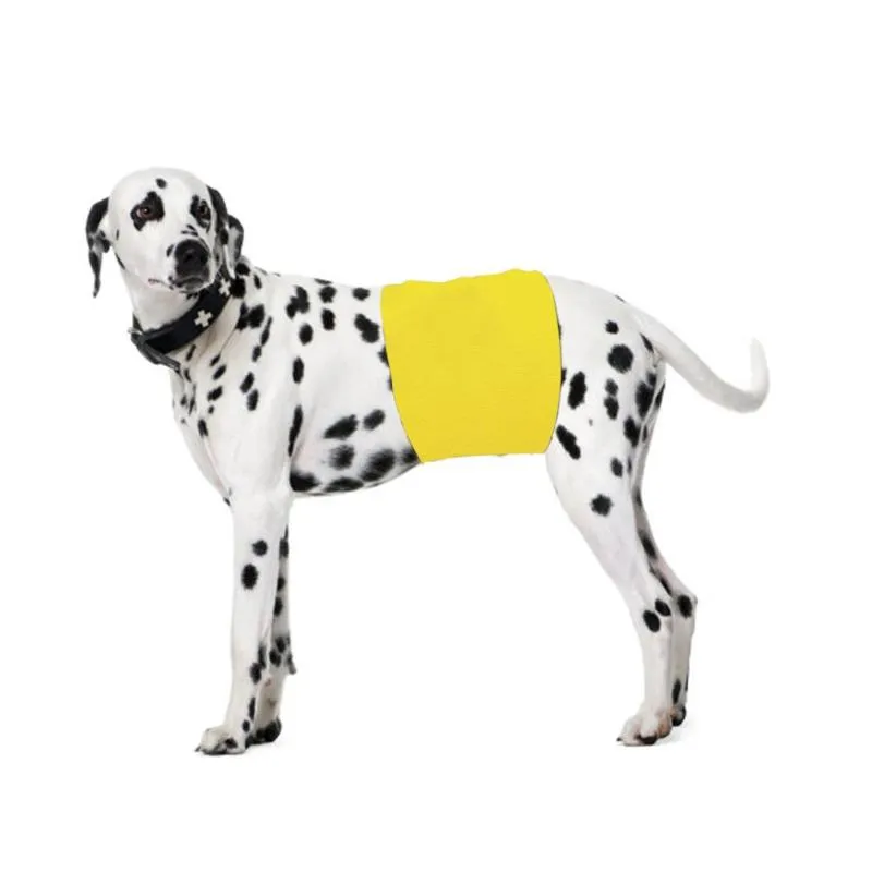 Dog Apparel Pet Shorts 2021 Verstelbare elastische riem Katoen Materiaal Comfortabel Nee Geur Physiological Yellow Broek # 4M24