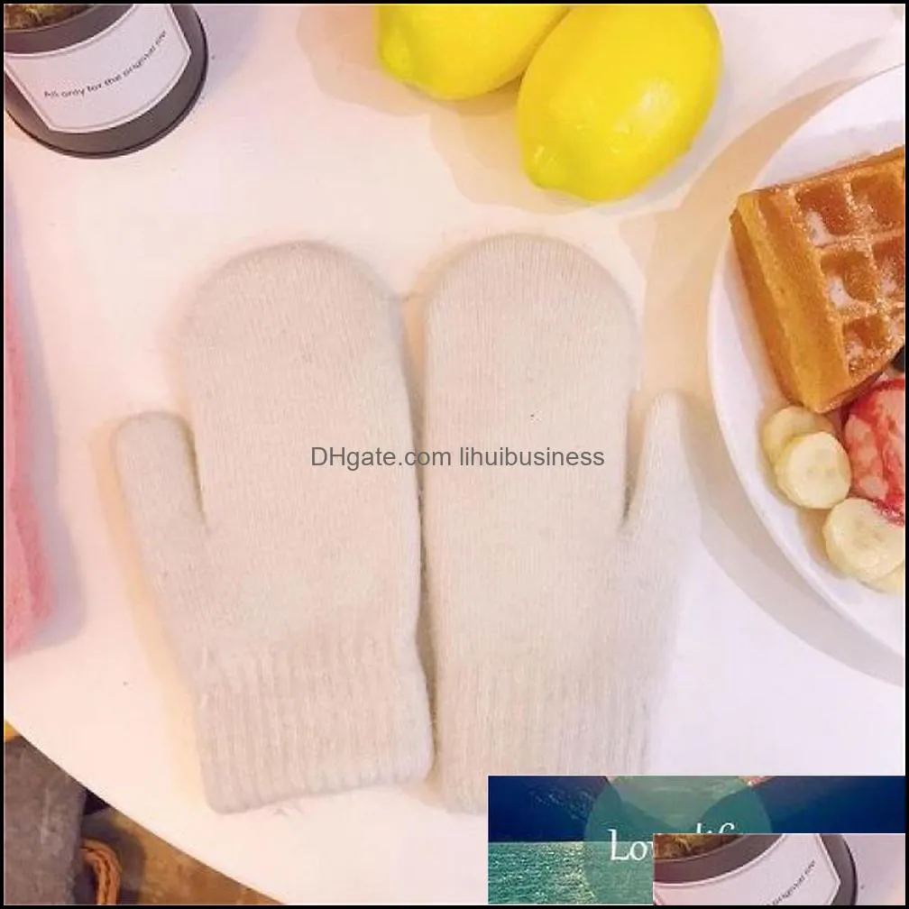 Cute Fur Gloves Women Double-layer Winter Full Finger Gloves for Student Warm Thick Knitted Gloves Factory price expert design Quality Latest Style