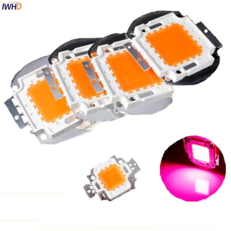 حبات ضوئية IWHD 2PCs عالية الطاقة 10W 20W 30W 50W 100W صمام رقاقة LED مع الطيف الكامل 380-840NM للنمو الداخلي