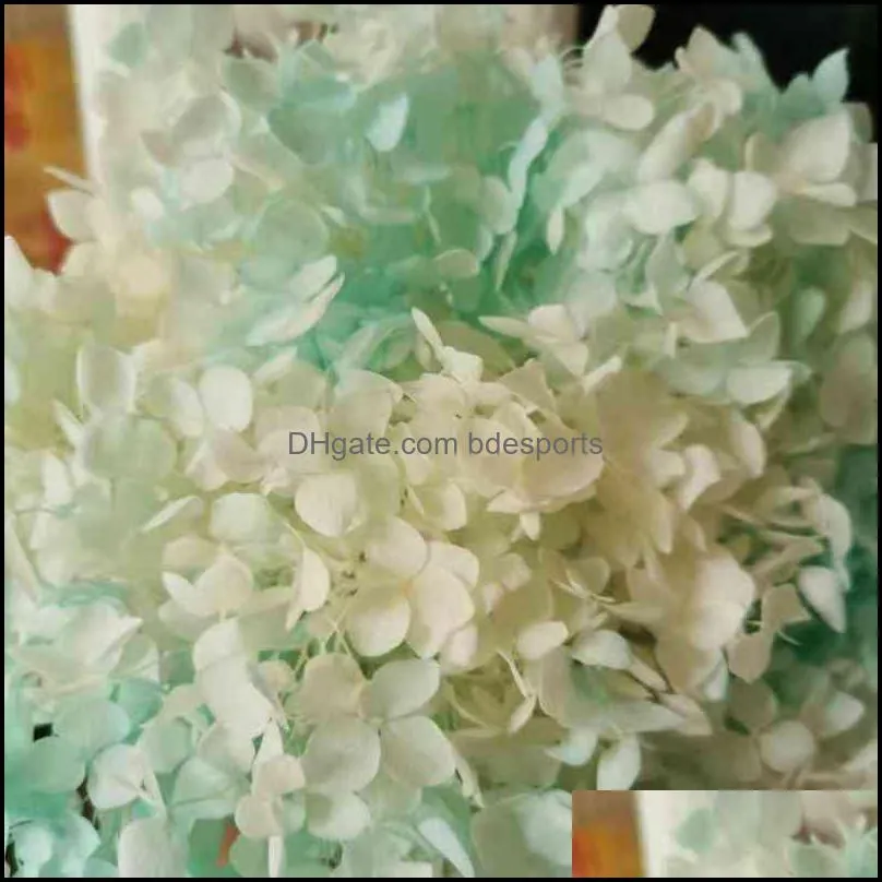 20g/lot,High quality Preserved Anna Hydrangea flower,Nature Flower Head for DIY gift box,Real Eternal Wedding party Decoration 220110