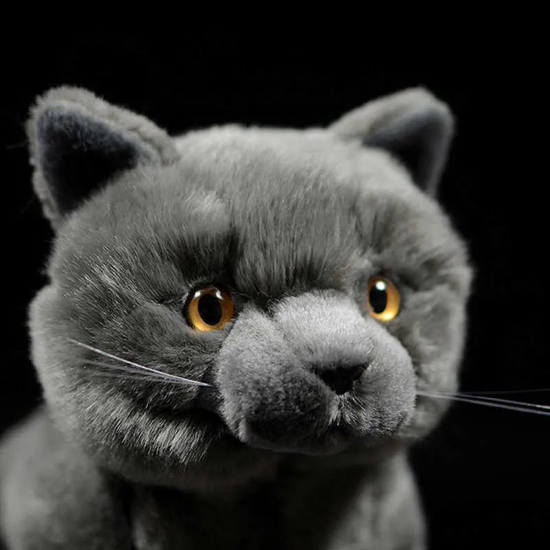 Juguet de peluche suav y de alta calidad, juguete de peluche de gato realista, juguete de peluche de gato - China Los animal de peluche osito de peluche Peluche Ant y juguete