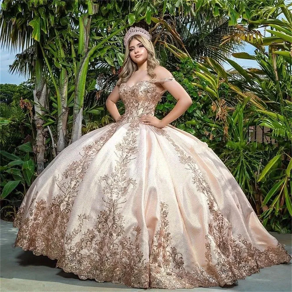 Vestido De Vestidos De Pelota De Encaje Rosa Quinceanera Para