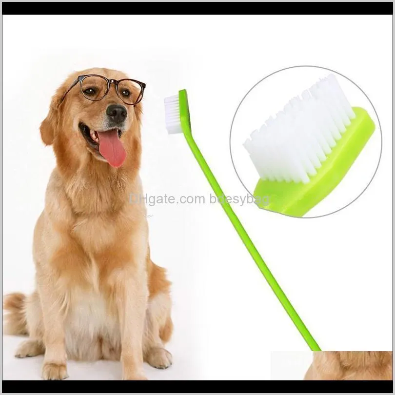 2021 dog toothbrush cat pet dental grooming washing tooth brush puppy tooth cleaning tools