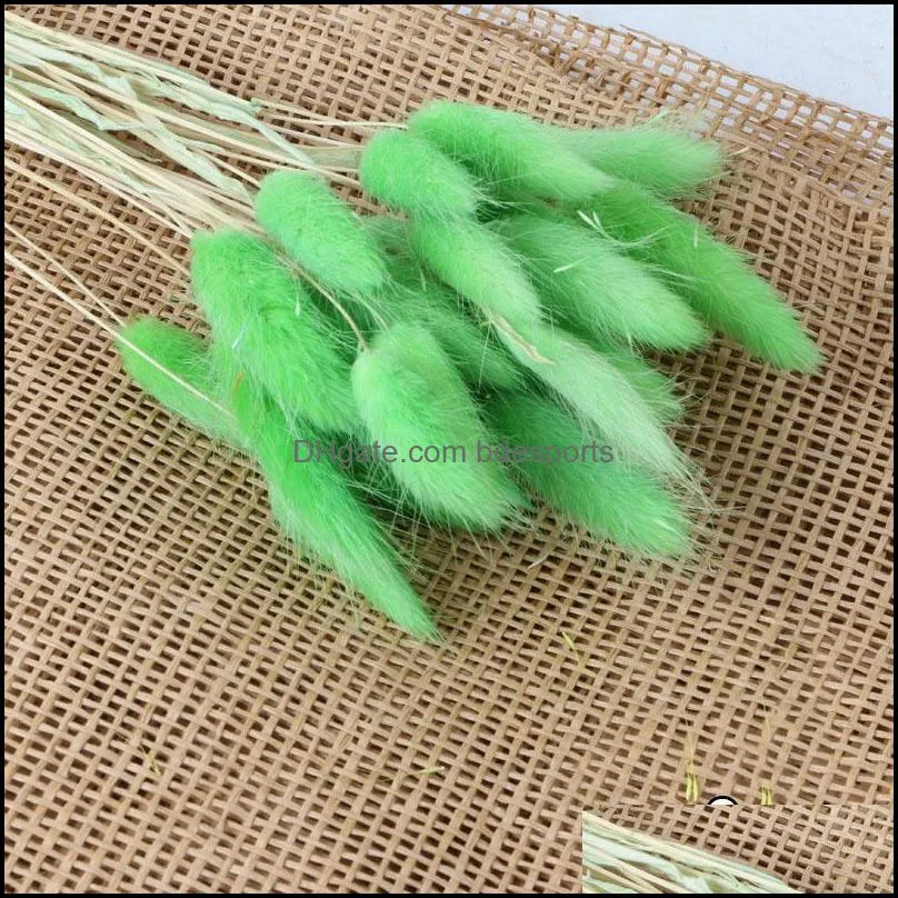 30Pcs/lot Natural Dried Flowers Tail Grass Bunch Colorful Lagurus Ovatus Real Flower Bouquet for Home Wedding Decoration1