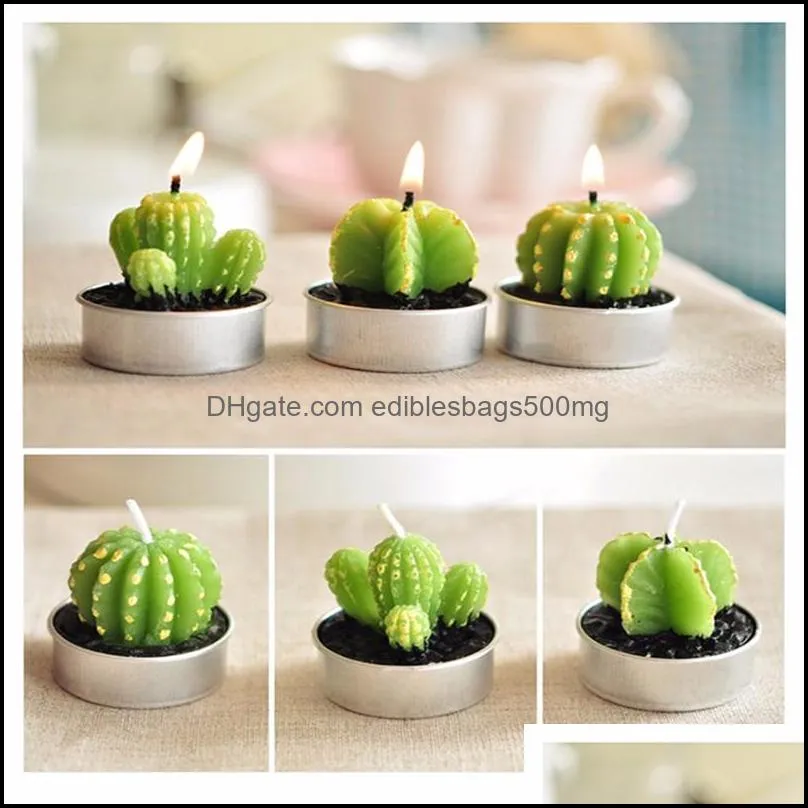 Home Decor Green Plant Candle Ornaments Simulation Scented Candle Crafts Creative Cactus Cute Potted Plant Candles Wedding Decor