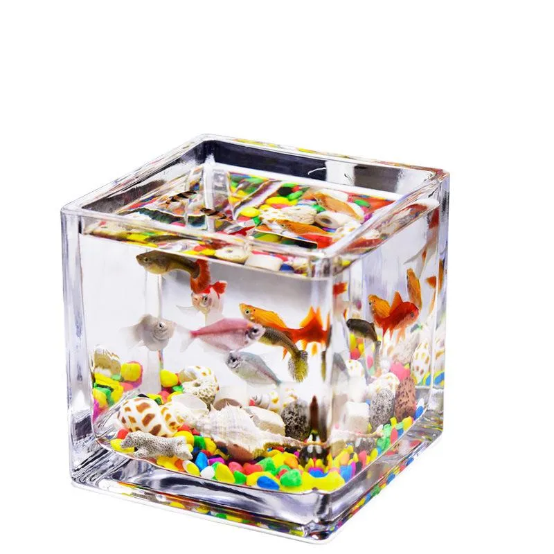クリアランス売り 水族館自然風景魚タンクガラス透明創造的小さな金魚オフィスakwarium Dla Rybアクセサリーei50sg 人気の商品が勢揃い Tdpodiatry Com
