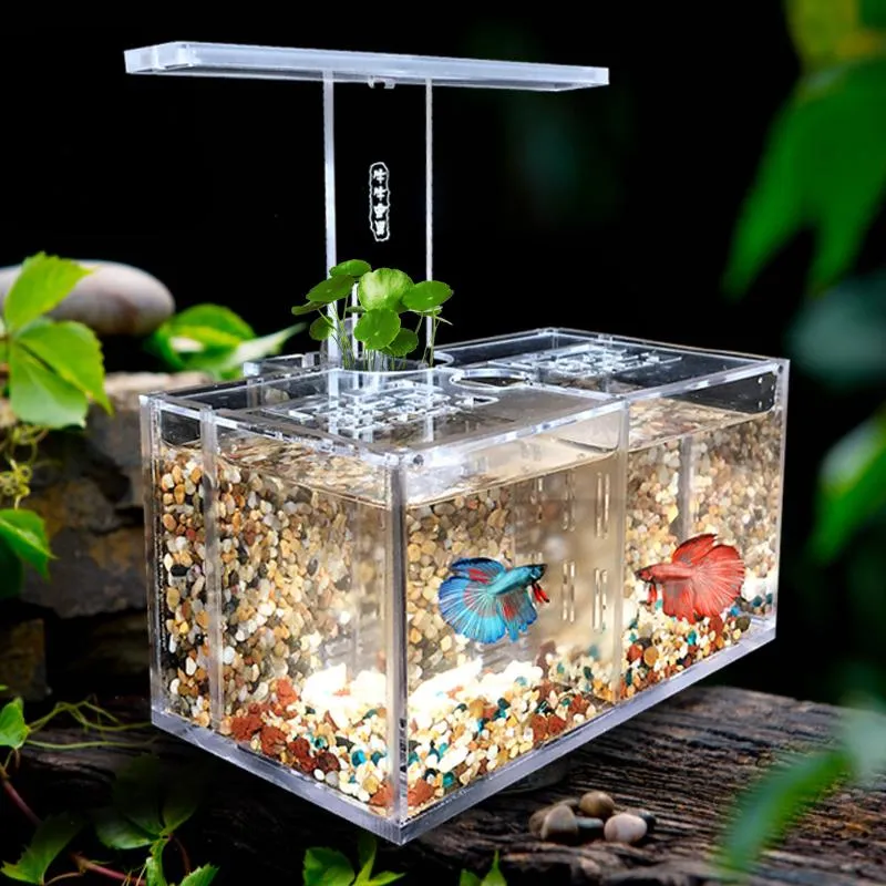Aquarien Acryl-Fischtank Freies Wasser-Austausch-Isolationsfeld mit LED-Schreibtischlampe Pumpfilter Aquarium Büro-Desktop-Dekoration