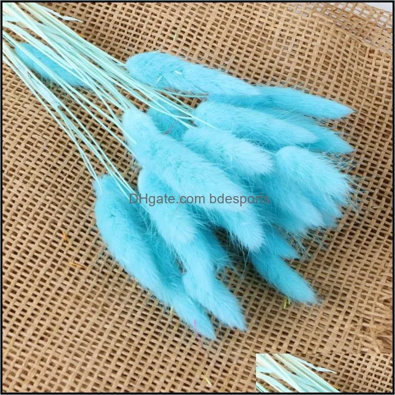 30Pcs/lot Natural Dried Flowers Tail Grass Bunch Colorful Lagurus Ovatus Real Flower Bouquet for Home Wedding Decoration1