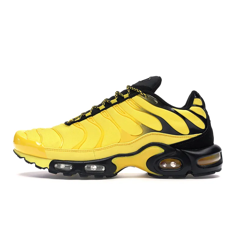designer shoes 2022 Plus TN Running Shoes TNS Men Triple White Black Batman Miami Vice Spider Web Throwback Future Blue Frequency Pack Mens