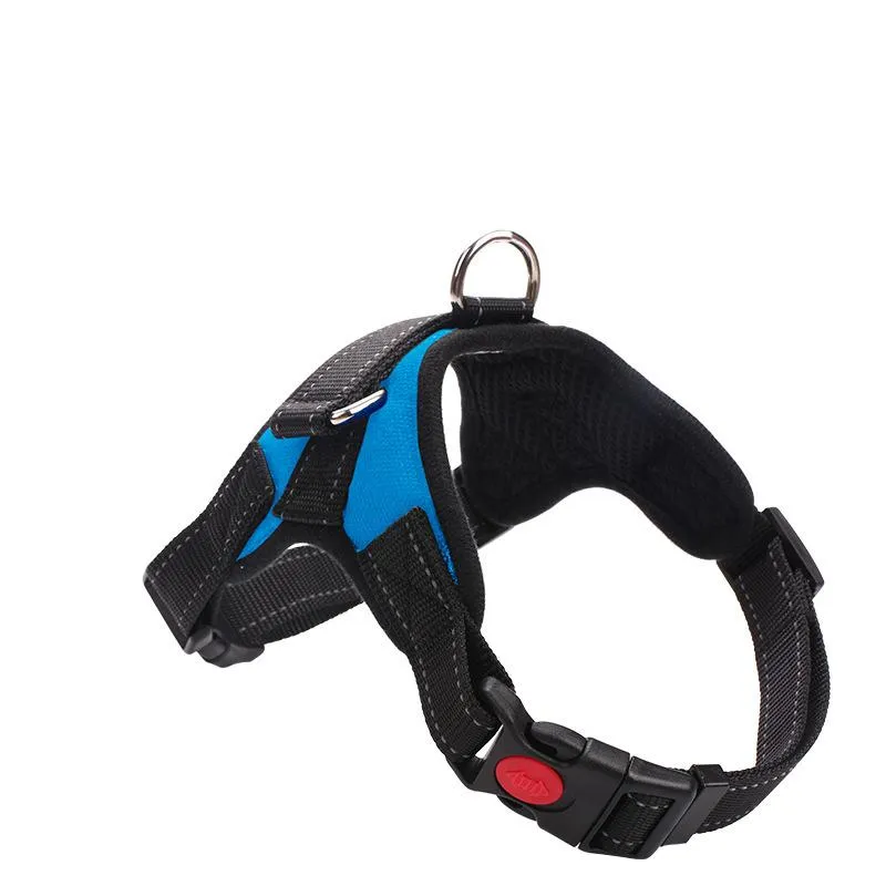 Colares Colares Lemas Ajustável Pet Filhote de Pet Grande Arnês para Pequenos Cães Médios Caixa De Volta Animais Animais Animais Hand Strap Supplies PC601