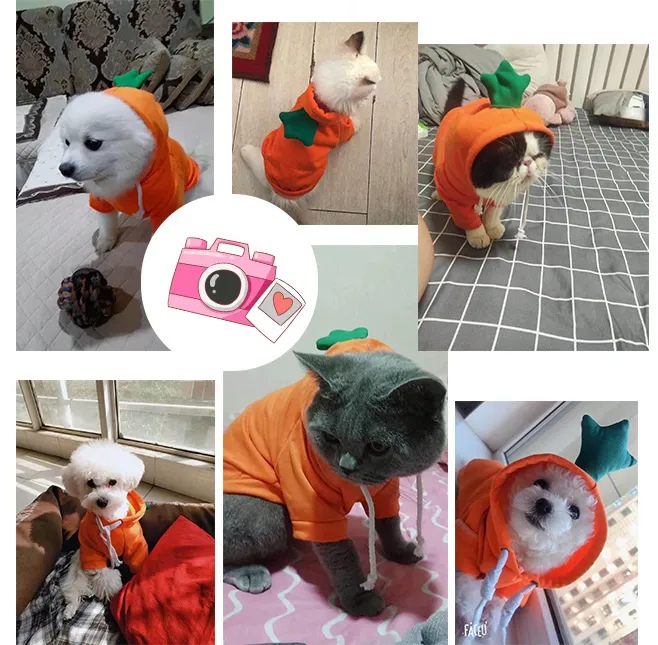 Cute Fruit Dog Clothes for Small Dogs Hoodies Warm Fleece Pet Clothing Winter Sweater Puppy Cat Coat w-01352