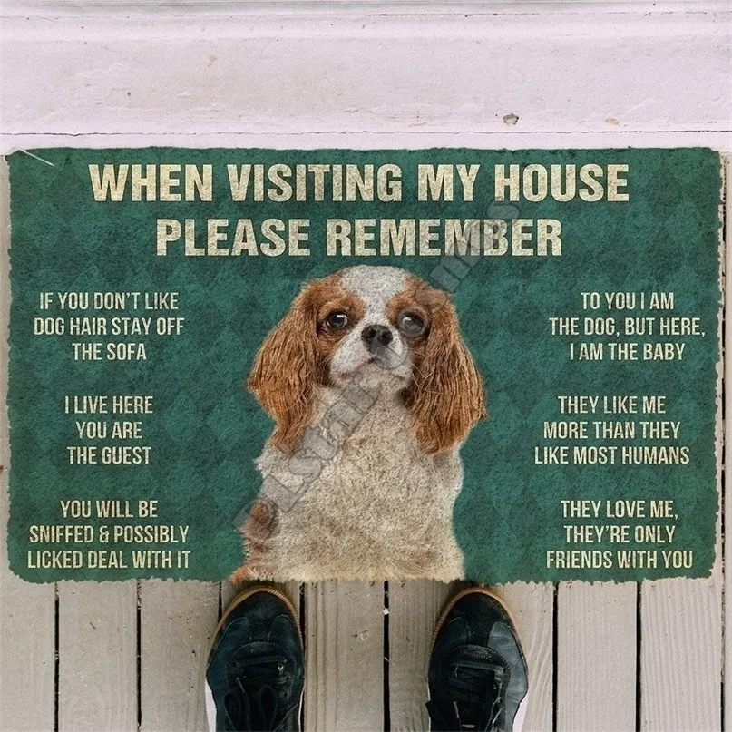 3d Pamiętaj Pamiętaj Cavalier King Charles Spaniel Dogs House Doormat Indoor Non Slip Drzwi Drzwi Decor Porch 220301