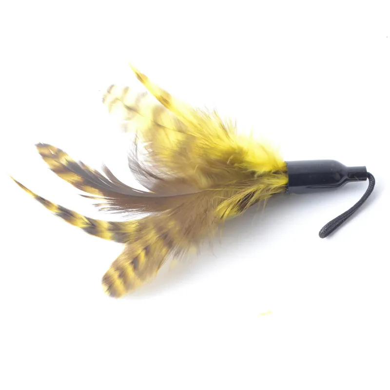 Colorful Feather Cat Toy Plastic Pendant Creative Funny Cat Stick Replacement Head Pet Supplies 