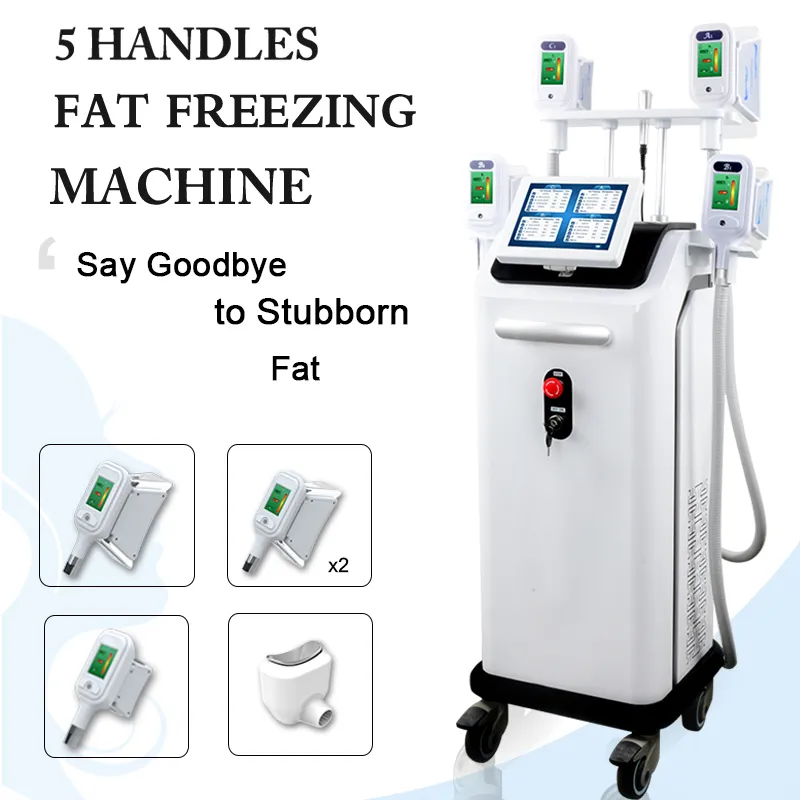 2021 Cryotherapy Slimming Fat Freezing Equipment 3D Cryolipolyse Koeling Cryogene Machine met dubbele kinbehandeling