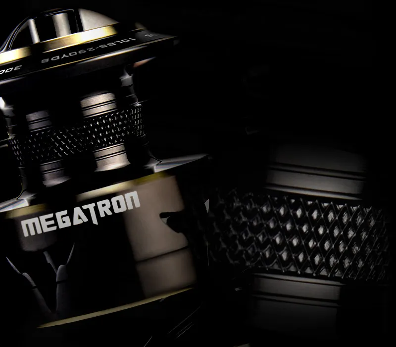 MegaTron 800x700 (2)