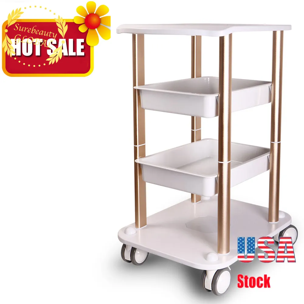 HotSale Beauty Salon Furniture Trolley Spa Styling Pedestal Rolling Cart For Aesthetic Machine Tools US Stock