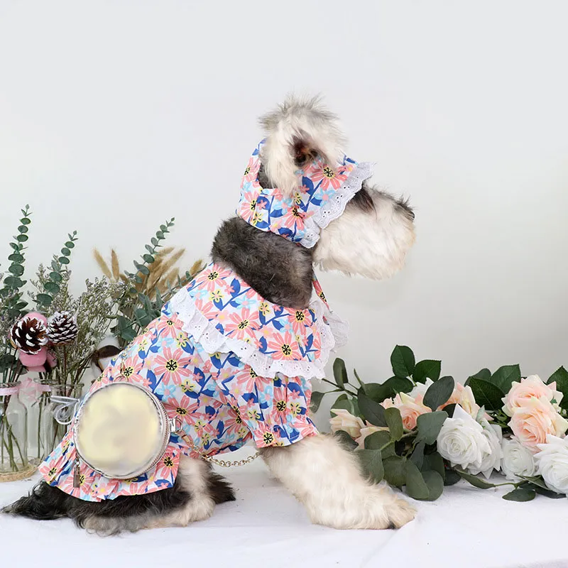 Miniature schnauzer apparel cheap
