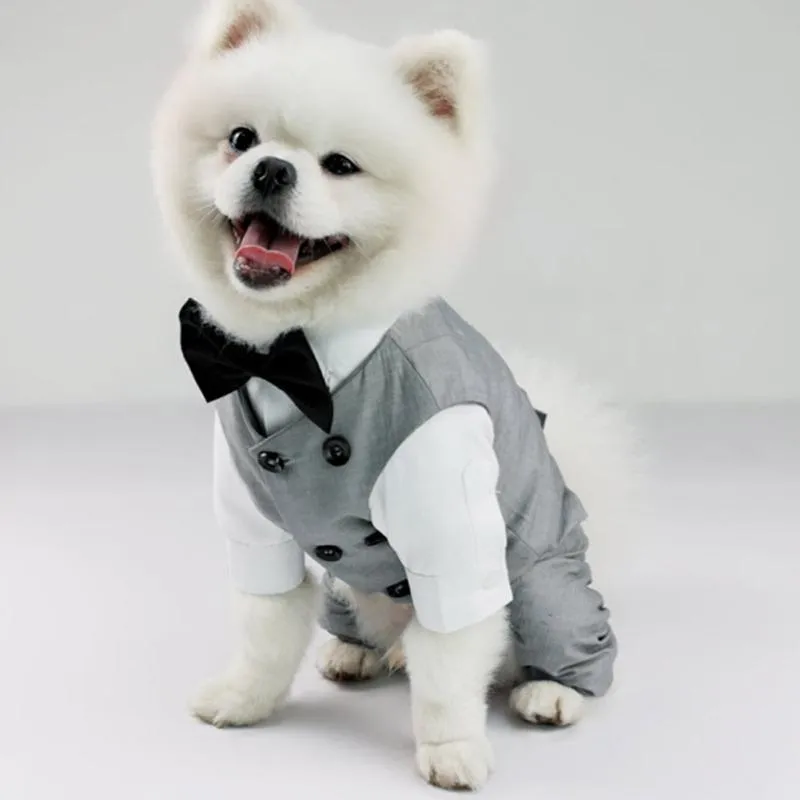 Hundkläder Husdjur Bröllopsfödelsedagsfest Dräkt Smoking Dräkt För Liten Medelstor Ras Formell Väst med fluga Gentleman