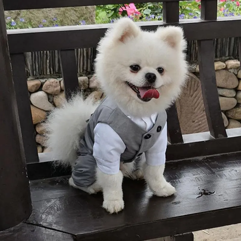 Dog suit and tie costume sales