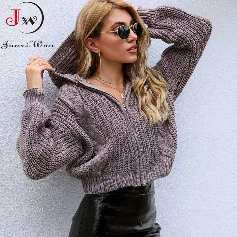 Women Short Cardigans Sweater Loose Knitted Elegant Fashion Zipper Solid Casual Coat Pull Femme Autumn Winter Clothes Jumper 210510