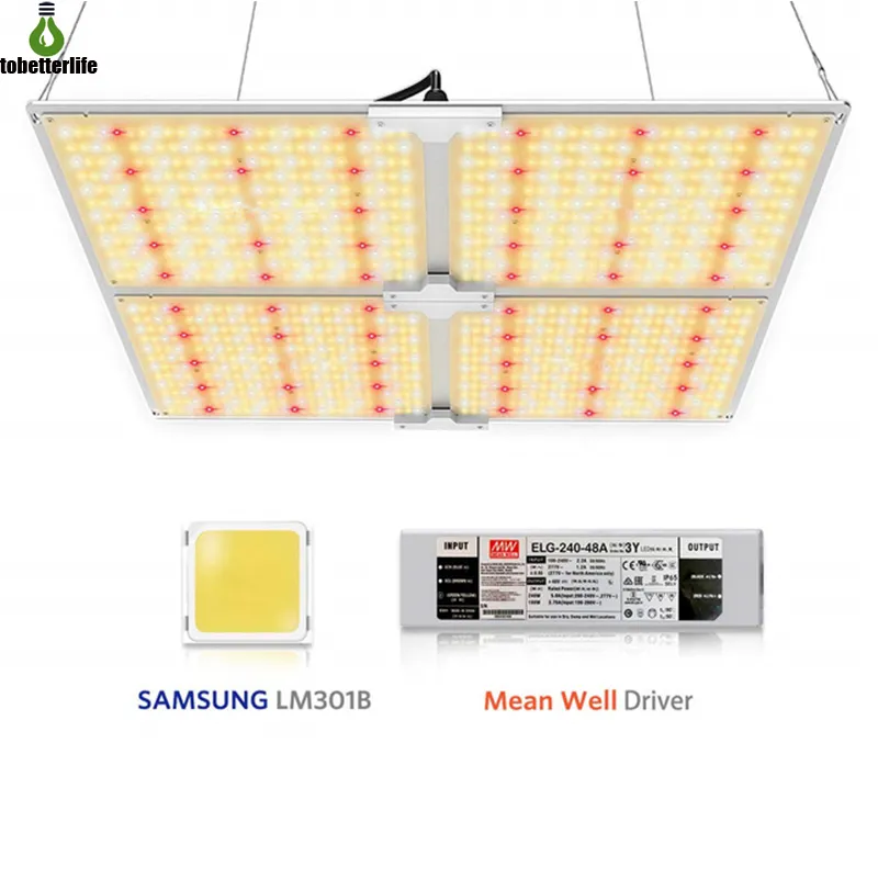 طيف كامل Samsung LED Plant Grow Light 1000W 2000W 4000W 6000W 3000K 5000K 660NM IR DIMMABLE مع DEANWELL DRIVER