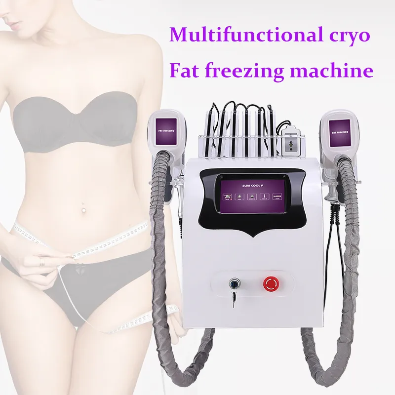 cryolipolysfett frysande smal maskin vakuumkryoterapi Device Cool behandling förlorar vikt säkerhet kavitation RF för kroppsform