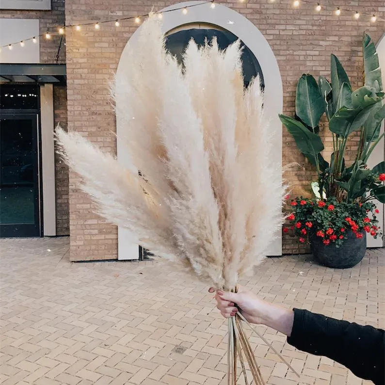 Ghirlande di fiori decorativi Ghirlande di pampas bianche naturali Erba nuziale Doccia autunnale Decorazioni per la casa Collezione di centrotavola da tavola Set Bouquet da sposa Boho