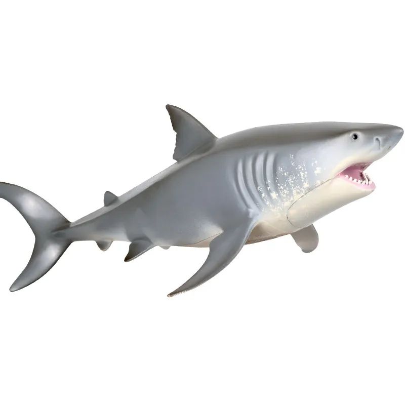 Nowy produkt Marine Life-Like-Like Hollow Hard Plastic Shark Toy Great White Shark przedstawia modele zabawki dla chłopców i dziewcząt prezenty urodzinowe