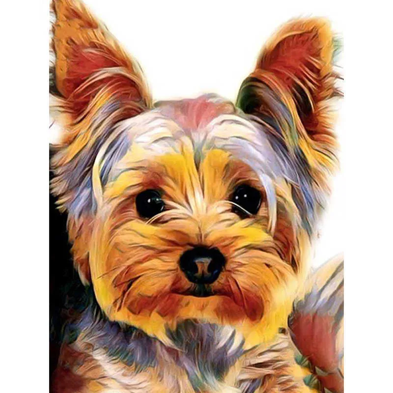5D DIY Målning Fullständig fyrkantig djur diamant broderi mosaik bild rhinestone hund dekoration hemgåva