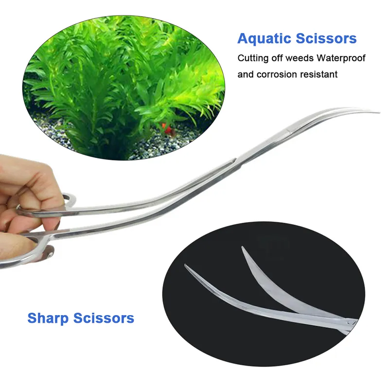10 '' Plant Tank Wave Scissor Curved Aquatic Aquarium Rostfritt Stål Tijera Water Grass Waterweed Clipper Tesoura Clean Tool