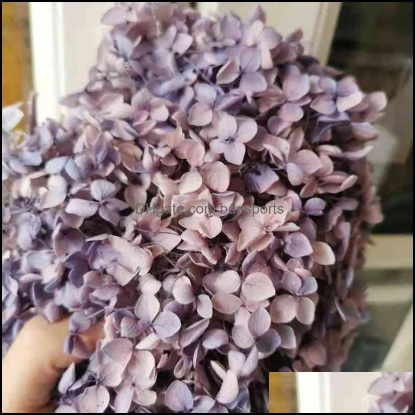 20g/lot,High quality Preserved Anna Hydrangea flower,Nature Flower Head for DIY gift box,Real Eternal Wedding party Decoration 220110