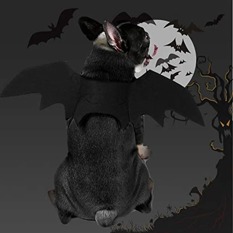Psa odzież Pet Cat Bat Wings Halloween Cosplay BATS Costume Pets Ubrania dla kotów Kittak Puppy Małe średnie duże psy A971264570