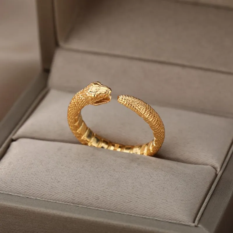 Klaster pierścienie Gothic Retro Wąż Dla Kobiet Ze Stali Nierdzewnej Złoty Pierścień 2021 Trend Moda Kobiet Estetyczna Biżuteria Prezent Anillos Mujer