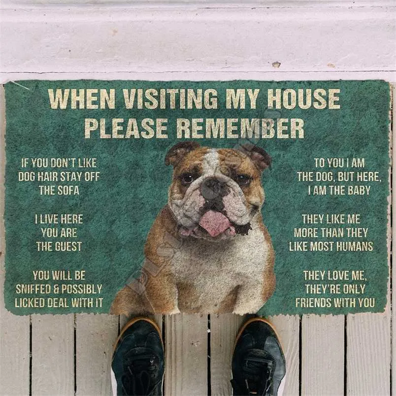 불독 강아지의 집 규칙을 기억하십시오.