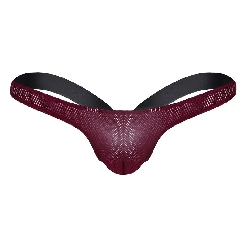 Heren G-Strings Mannen Slips Porno Ondergoed Open Back Sexy Lingerie Stretchy Jockstrap G-String Mesh See-through Thong Slipje Bikini Underpa