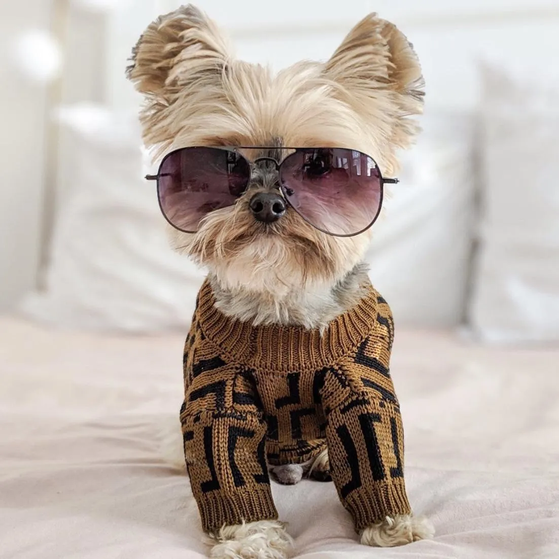 Köpek Giyim Sonbahar Kış Evcil Hayvan Giysileri Şık Mektup Nakış Köpek Kazak Luxurys Designers Clohes Kahverengi Boyut: XS-XXL