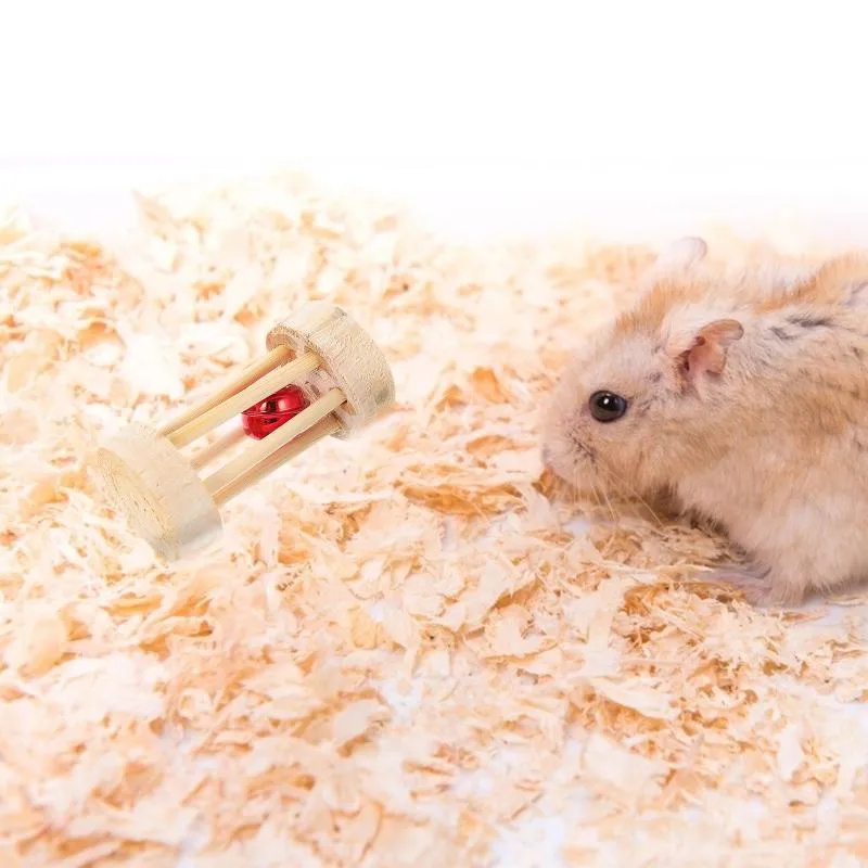 Hamster teething deals
