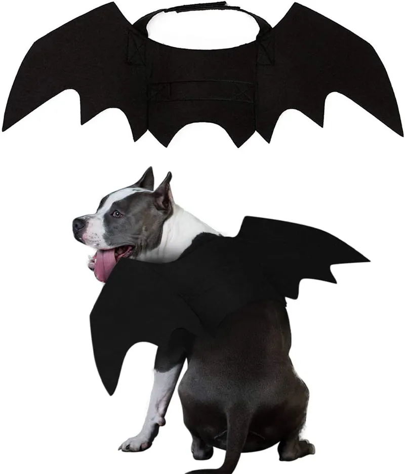 Hond kleding huisdier kat vleermuis vleugels Halloween cosplay vleermuizen kostuum huisdieren kleding voor katten kitten puppy kleine medium grote honden A97