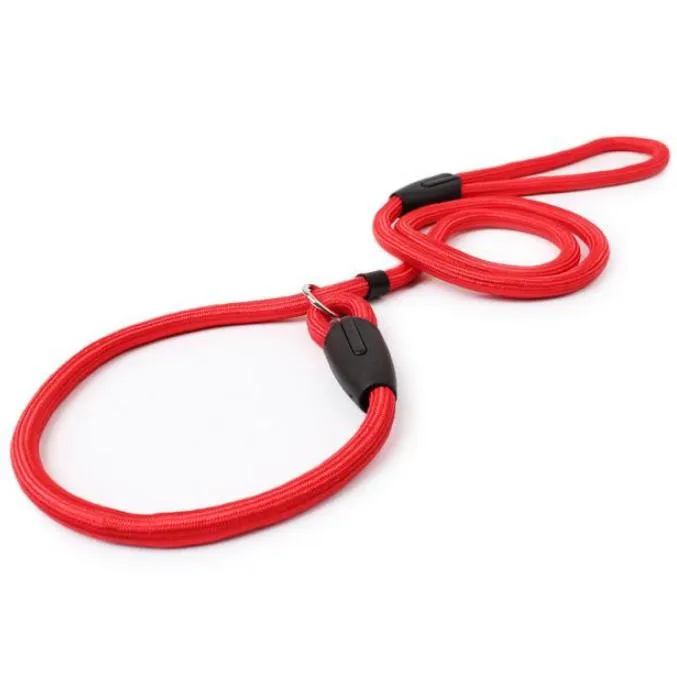 Cesar shop millan leash