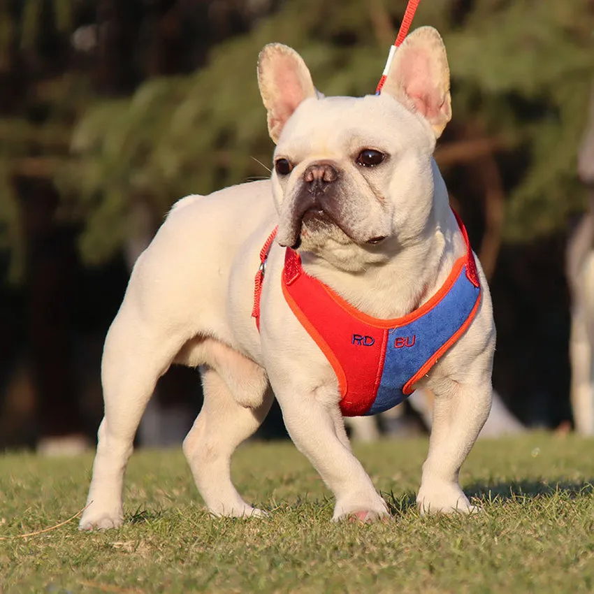 Contrast Color Suede Fabric Harnesses Leash Set Underwaist Soft Adjustable Leashes for Pet Dog Cats Supplies Will and Sandy Red Blue