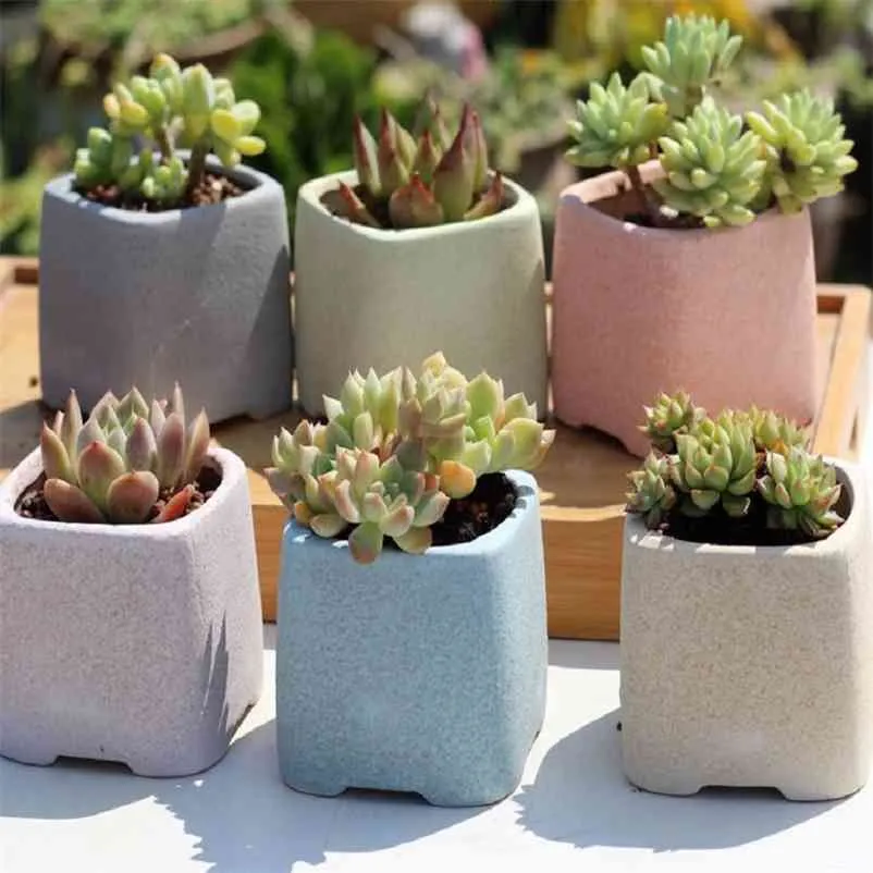 6PCS /set Ceramic Succulent Flowerpot with Hole Small Home Office Desktop Decor 210922