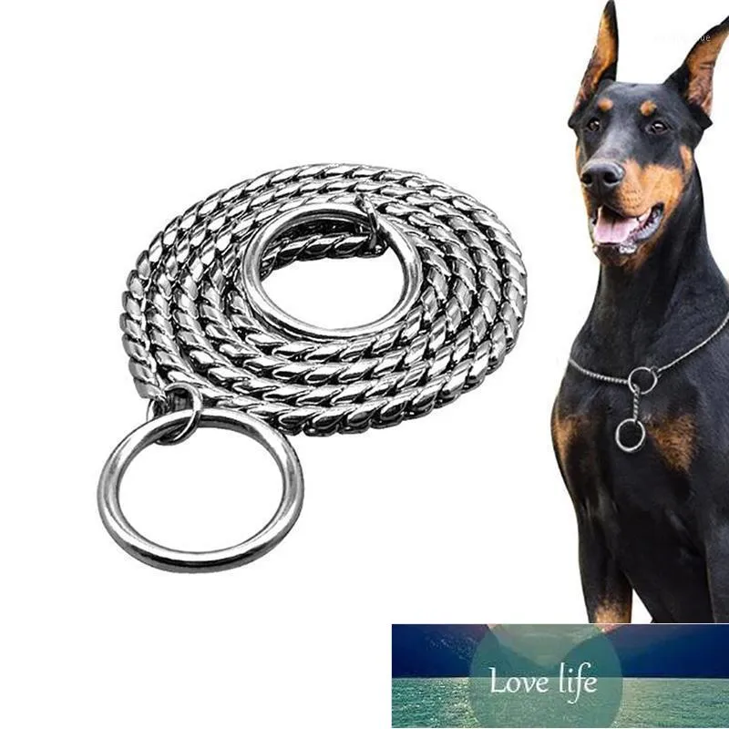 Hundkrafter Leashes Chian Collar Pet Training P Chain Slip Choker för Små Medium Stora hundar Doberman Beagle1 Fabrikspris Expert Design Kvalitet Senaste stil