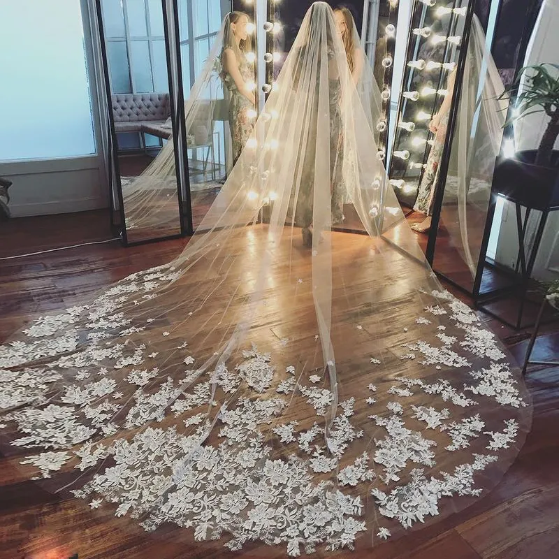 Cathedral Wedding Veil: Exquisite Lace Wedding Veil With  display picture 1