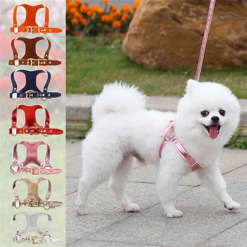 Dog Harness Vest Leather Leash Pink Gold Silver Small Collar For Terrier Schnauzer Pet Cat Adjustable Strap Belt for 210911225f