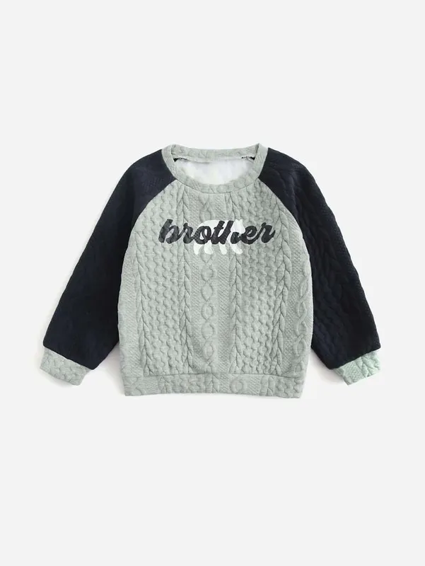 Toddler Boys 1pc Bear And Letter Graphic Cable Textured Sweatshirt SHE