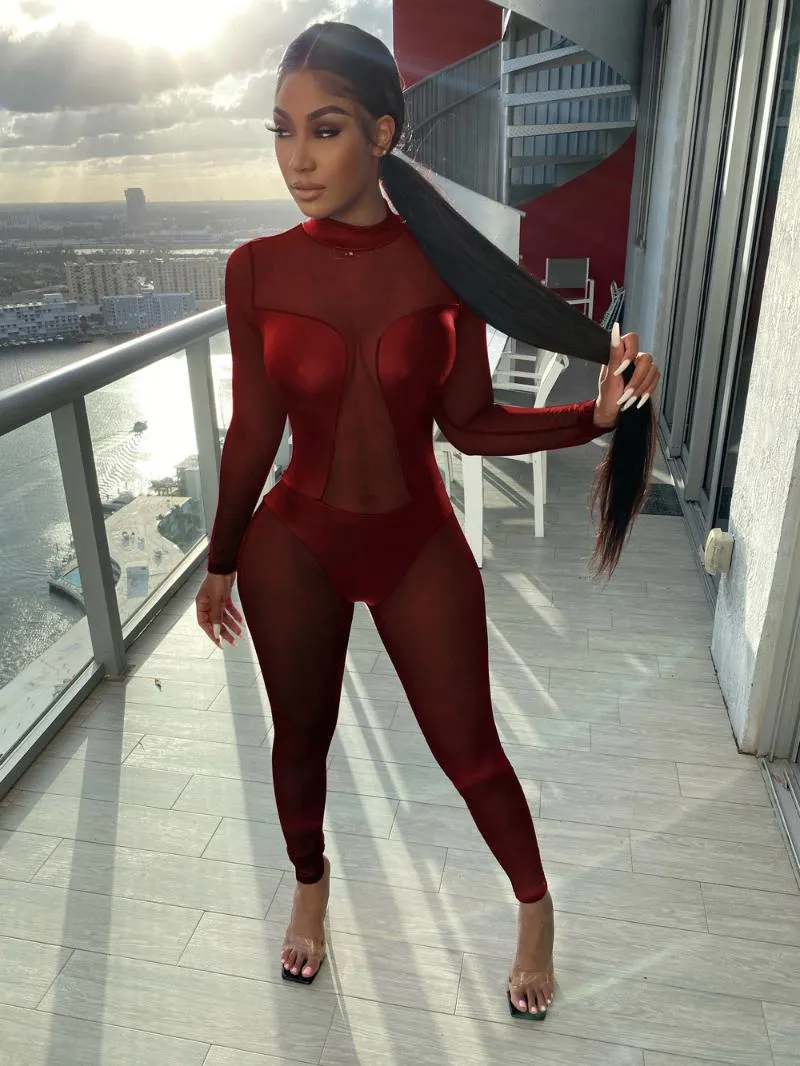 Full body mesh jumpsuit cheap