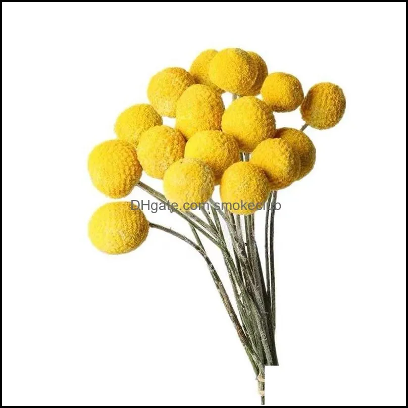 Decorative Flowers & Wreaths 20PCS Craspedia Billy Ball Natural Dried Bouqet Arrangement In Vase Preserved For Decoration Wedding Home