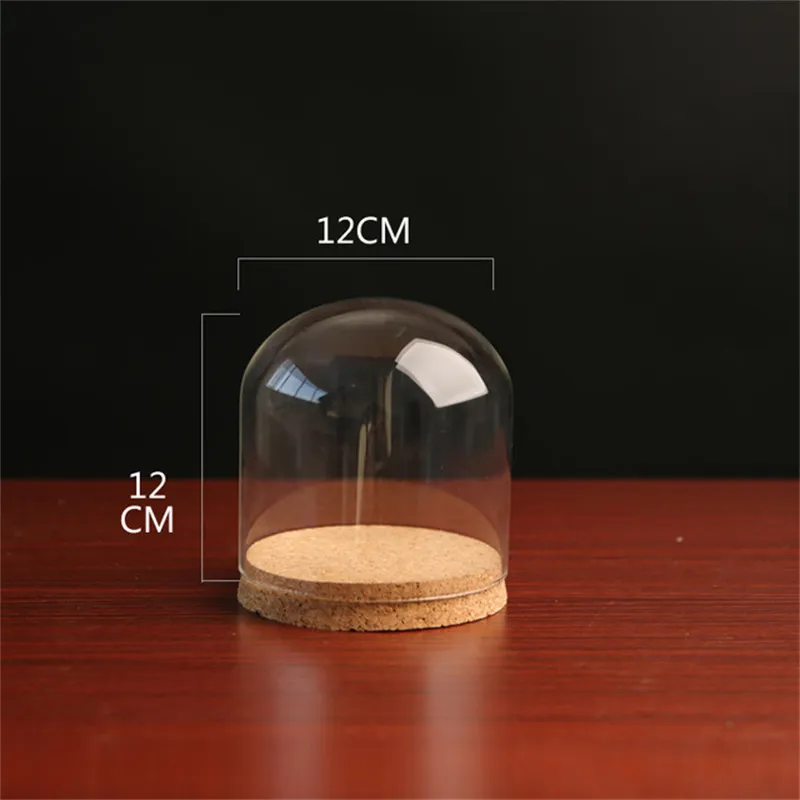 24 x dia12cm Clear Glass Display Dome Cover Cloche Bell Jar Succulent Terrariums With Wood Cork For Home Office Table Decor DIY