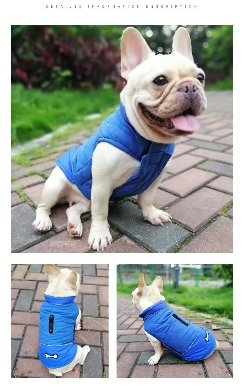 Clothing for Dogs (7F)