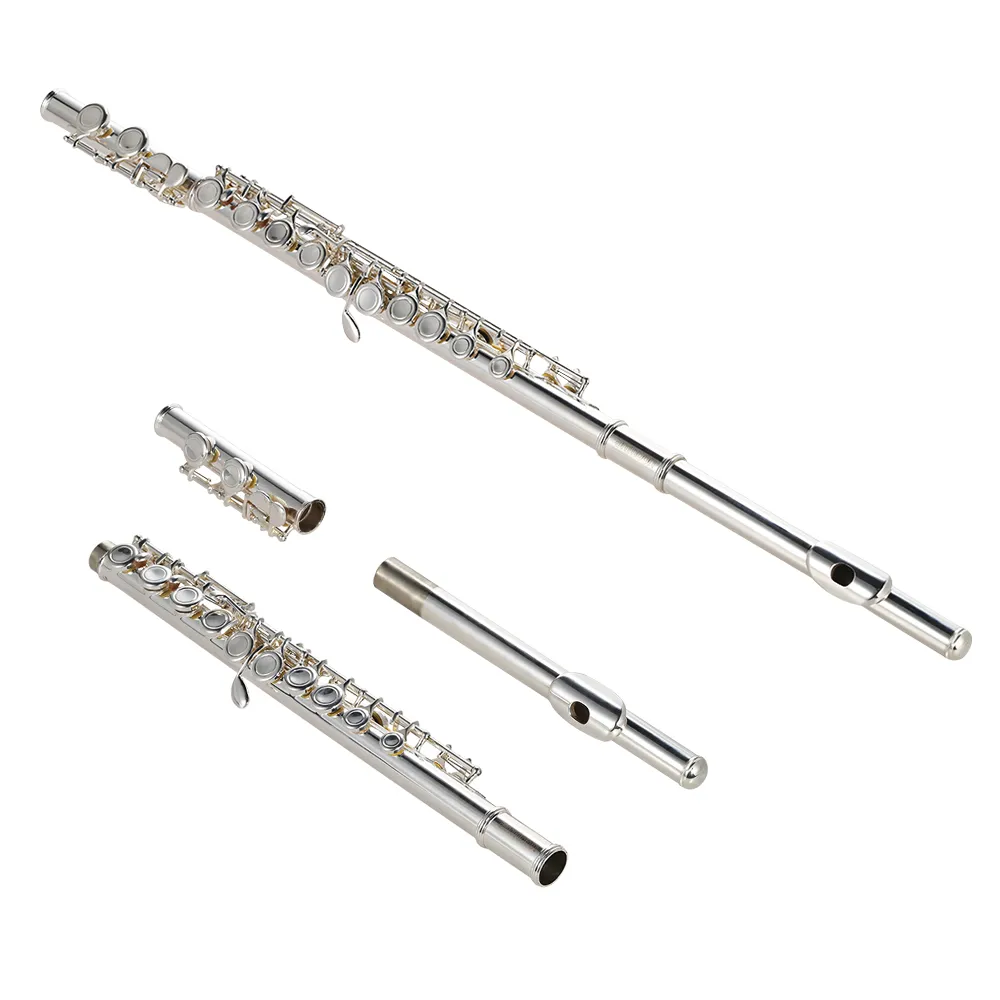 High Quality C Key Flute Cupronickel Silver Plated 16 Closed Holes with Case Screwdriver Wind Instruments for Beginner